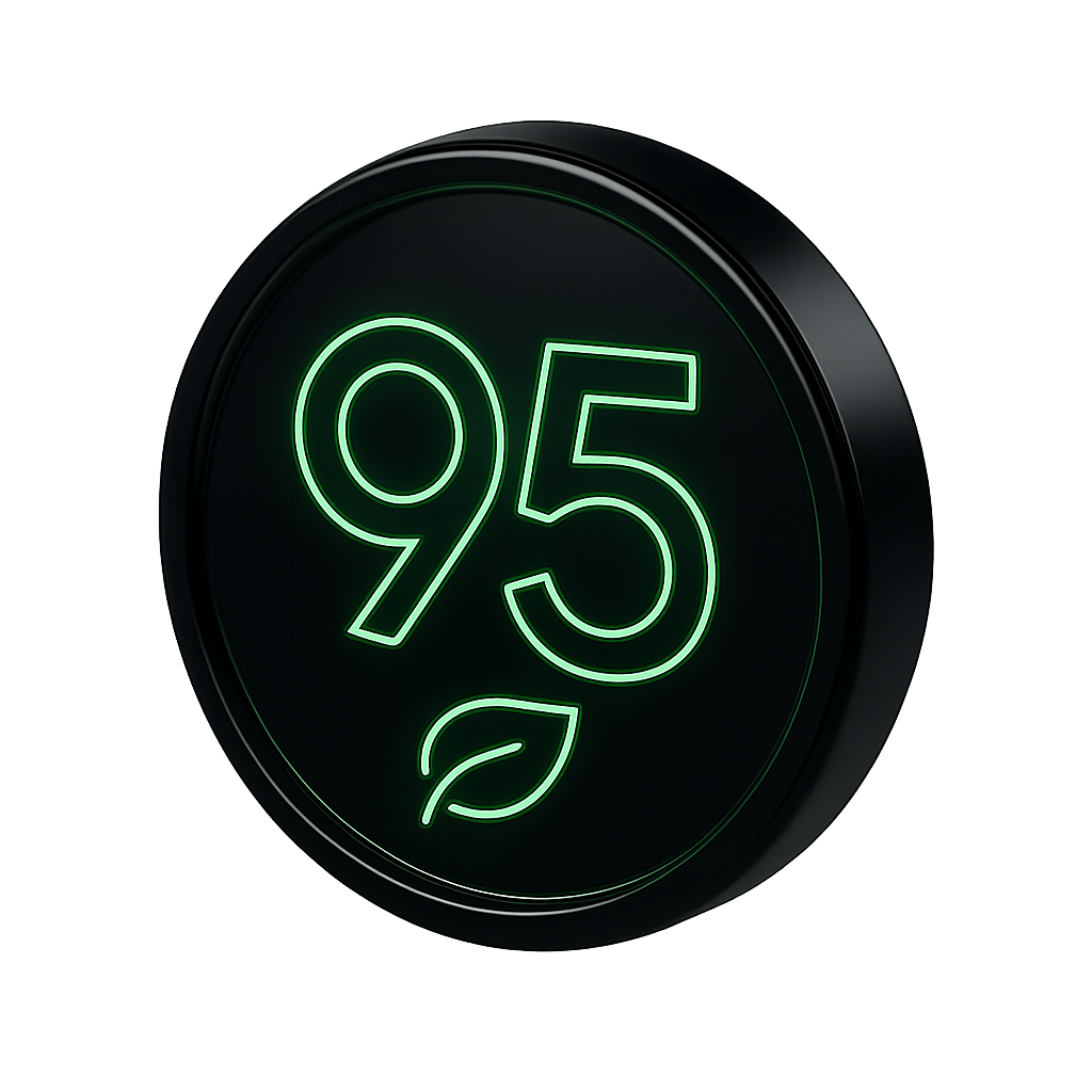 Video telematics AI dashcam